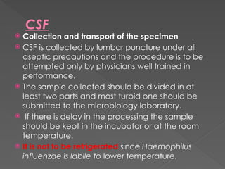 Position For Csf Collection SPECIMEN COLLECTION FOR MICROBIAL DIAGNOSIS.pptx