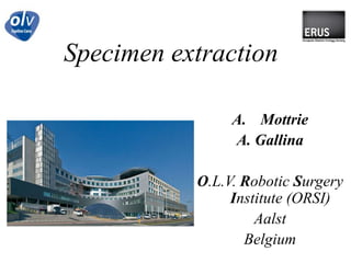 Specimen extraction Mottrie A. Gallina O.L.V. RoboticSurgeryInstitute (ORSI) Aalst Belgium 