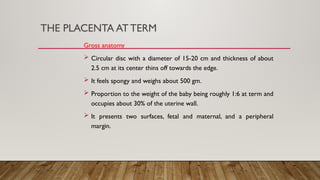 Comprehensive Overview of Molar and Ectopic Pregnancies with Placental ...
