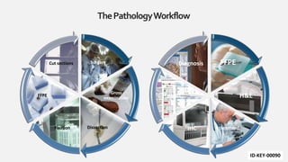 Surgery
Gross
examination
Dissection
Fixation
FFPE
Cut sections
ThePathologyWorkflow
FFPE
H&E
Assesment
IHC
Result
Diagnosis
ID-KEY-00090
 