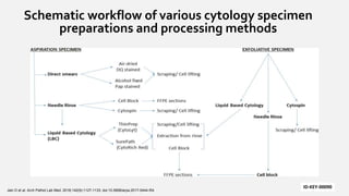 Schematic workflow of various cytology specimen
preparations and processing methods
ID-KEY-00090
Jain D et al. Arch Pathol Lab Med. 2018;142(9):1127-1133. doi:10.5858/arpa.2017-0444-RA
 