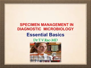 SPECIMEN MANAGEMENT IN
DIAGNOSTIC MICROBIOLOGY
Essential Basics
Dr.T.V.Rao MD
 