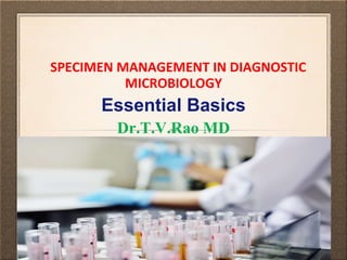 SPECIMEN MANAGEMENT IN DIAGNOSTIC
MICROBIOLOGY
Essential Basics
Dr.T.V.Rao MD
 