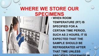 SPECIMEN MANAGEMENT IN DIAGNOSTIC MICROBIOLOGY | PPTX