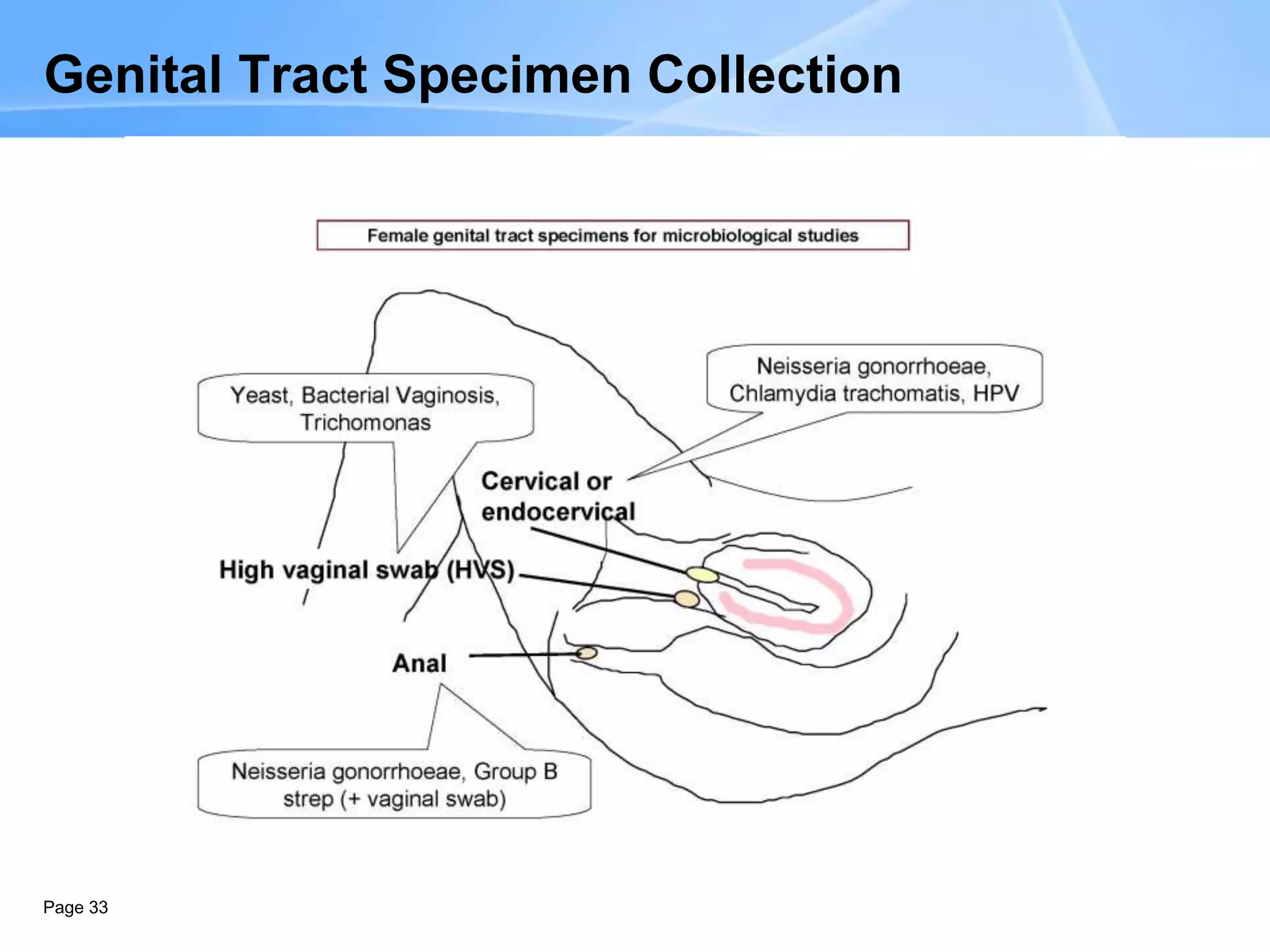 Page 33
Genital Tract Specimen Collection
 