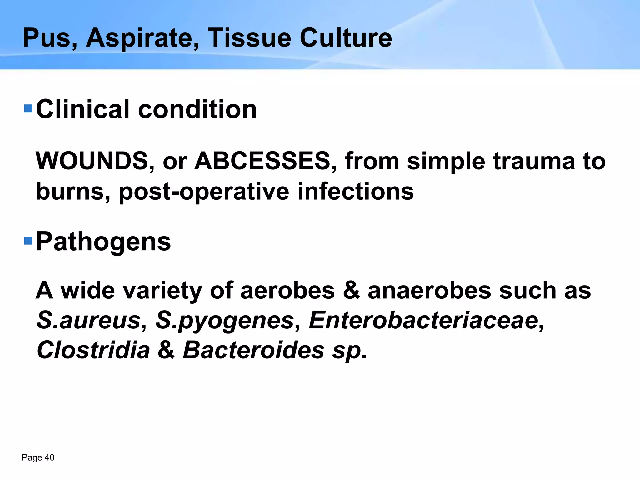 Page 40
Pus, Aspirate, Tissue Culture
Clinical condition
WOUNDS, or ABCESSES, from simple trauma to
burns, post-operative infections
Pathogens
A wide variety of aerobes & anaerobes such as
S.aureus, S.pyogenes, Enterobacteriaceae,
Clostridia & Bacteroides sp.
 
