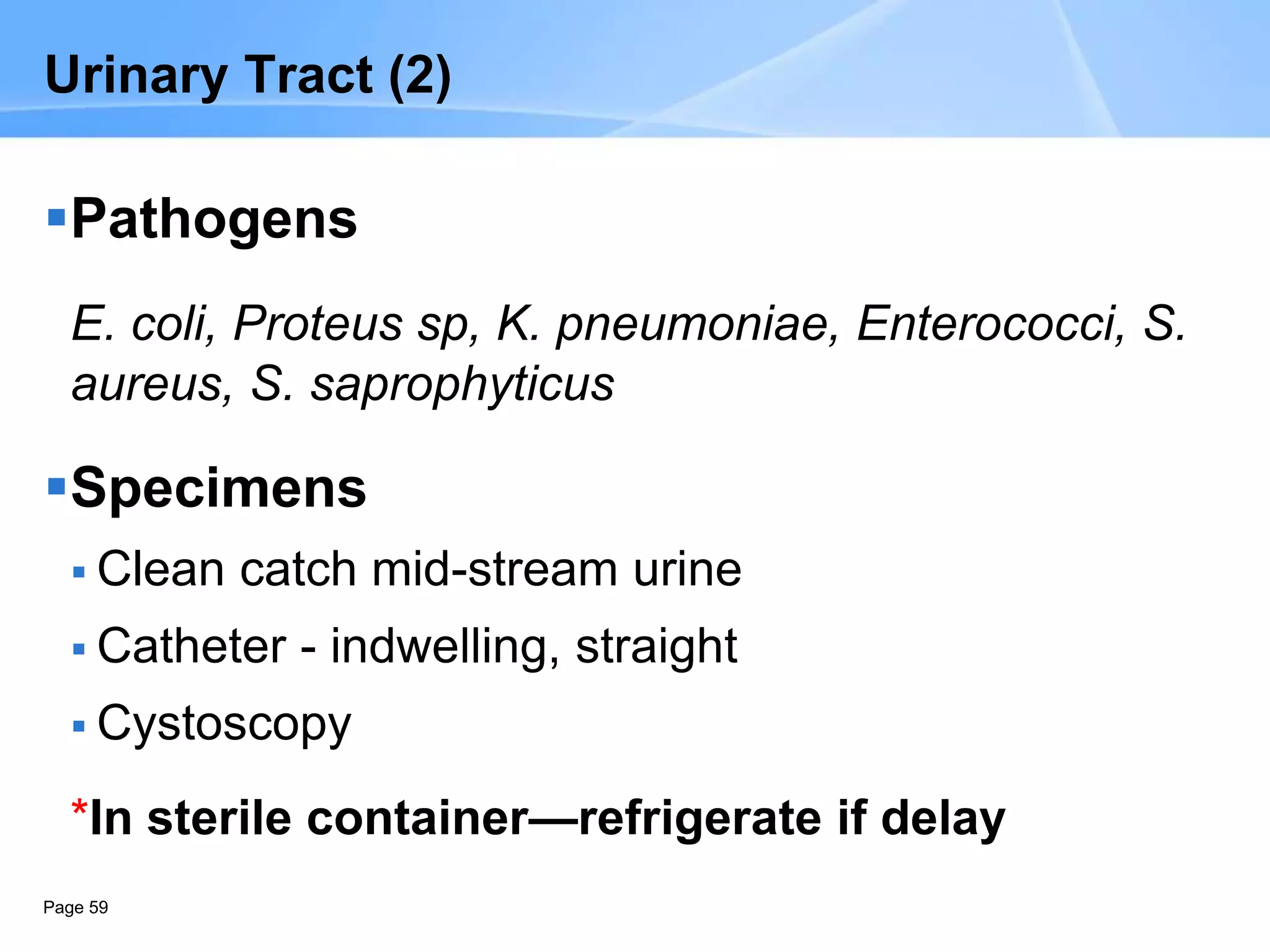 Page 59
Urinary Tract (2)
Pathogens
E. coli, Proteus sp, K. pneumoniae, Enterococci, S.
aureus, S. saprophyticus
Specimens
 Clean catch mid-stream urine
 Catheter - indwelling, straight
 Cystoscopy
*In sterile container—refrigerate if delay
 