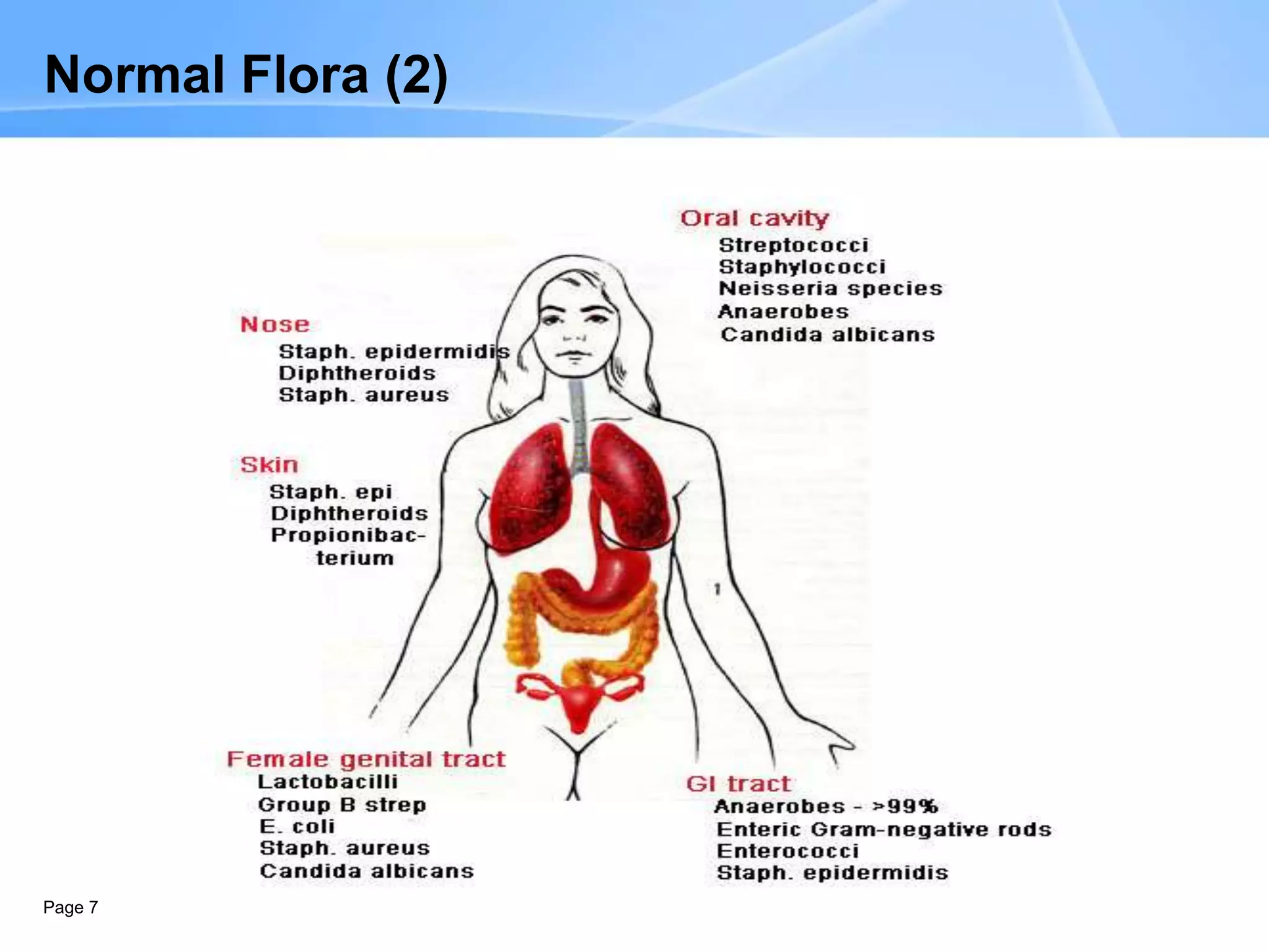 Page 7
Normal Flora (2)
 