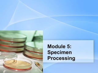 Module 5:
Specimen
Processing
 