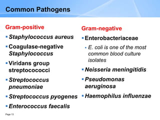 Page 13
Common Pathogens
Gram-positive
Staphylococcus aureus
Coagulase-negative
Staphylococcus
Viridans group
streptocococci
Streptococcus
pneumoniae
Streptococcus pyogenes
Enterococcus faecalis
Gram-negative
Enterobacteriaceae
 E. coli is one of the most
common blood culture
isolates
Neisseria meningitidis
Pseudomonas
aeruginosa
Haemophilus influenzae
 