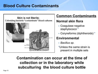 Page 16
Blood Culture Contaminants
Common Contaminants
Normal skin flora
 Coagulase negative
staphylococci *
 Coryneforms (diphtheroids) *
Environmental
 Bacillus sp.
*Unless the same strain is
present in multiple sets
Contamination can occur at the time of
collection or in the laboratory while
subculturing the blood culture bottle
 