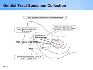 Page 33
Genital Tract Specimen Collection
 