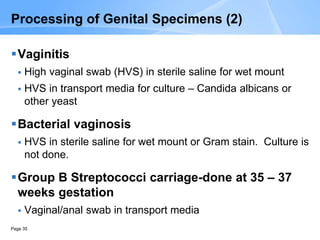 Page 35
Processing of Genital Specimens (2)
Vaginitis
 High vaginal swab (HVS) in sterile saline for wet mount
 HVS in transport media for culture – Candida albicans or
other yeast
Bacterial vaginosis
 HVS in sterile saline for wet mount or Gram stain. Culture is
not done.
Group B Streptococci carriage-done at 35 – 37
weeks gestation
 Vaginal/anal swab in transport media
 