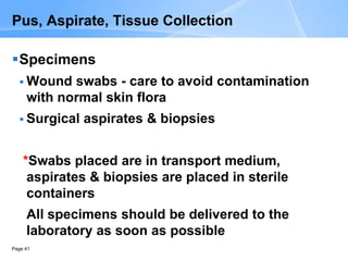 Page 41
Pus, Aspirate, Tissue Collection
Specimens
 Wound swabs - care to avoid contamination
with normal skin flora
 Surgical aspirates & biopsies
*Swabs placed are in transport medium,
aspirates & biopsies are placed in sterile
containers
All specimens should be delivered to the
laboratory as soon as possible
 