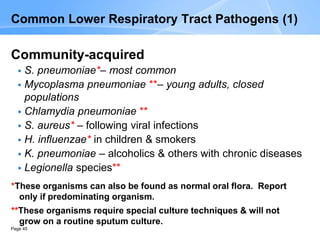 Page 45
Common Lower Respiratory Tract Pathogens (1)
Community-acquired
 S. pneumoniae*– most common
 Mycoplasma pneumoniae **– young adults, closed
populations
 Chlamydia pneumoniae **
 S. aureus* – following viral infections
 H. influenzae* in children & smokers
 K. pneumoniae – alcoholics & others with chronic diseases
 Legionella species**
*These organisms can also be found as normal oral flora. Report
only if predominating organism.
**These organisms require special culture techniques & will not
grow on a routine sputum culture.
 