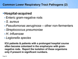 Page 46
Hospital-acquired
 Enteric gram-negative rods
 S. aureus
 Pseudomonas aeruginosa – other non-fermenters
 Streptococcus pneumoniae
 H. influenzae
 Legionella species
ICU patients & patients with a prolonged hospital course
often become colonized in the oropharynx with gram-
negative rods. Report the isolation of these organisms
only if present in significant numbers.
Common Lower Respiratory Tract Pathogens (2)
 