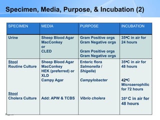 Page 66
SPECIMEN MEDIA PURPOSE INCUBATION
Urine Sheep Blood Agar
MacConkey
or
CLED
Gram Positive orgs
Gram Negative orgs
Gram Positive orgs
Gram Negative orgs
35oC in air for
24 hours
Stool
Routine Culture
Stool
Cholera Culture
Sheep Blood Agar
MacConkey
HEK (preferred) or
XLD
Campy Agar
Add: APW & TCBS
Enteric flora
Salmonella /
Shigella)
Campylobacter
Vibrio cholera
35oC in air for
48 hours
42oC
Microaerophilic
for 72 hours
35o C in air for
48 hours
Specimen, Media, Purpose, & Incubation (2)
 