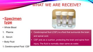 WHAT WE ARE RECEIVE?
•Specimen
type
• Whole Blood
1. Plasma
2. Serum
• Body Fluid
1. Cerebro-spinal Fluid CSF
 Cerebrospinal fluid (CSF) is a fluid that surrounds the brain
and spinal cord.
 CSF acts as a cushion, protecting the brain and spine from
injury. The fluid is normally clear same as water.
 