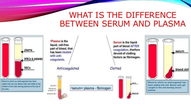 plasma vs serum