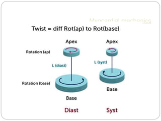 Myocardial mechanics
 