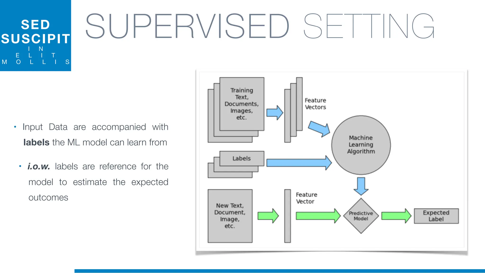 SED
SUSCIPIT
I N
E L I T
M O L L I S
SUPERVISED SETTING
• Input Data are accompanied with
labels the ML model can learn from
• i.o.w. labels are reference for the
model to estimate the expected
outcomes
 