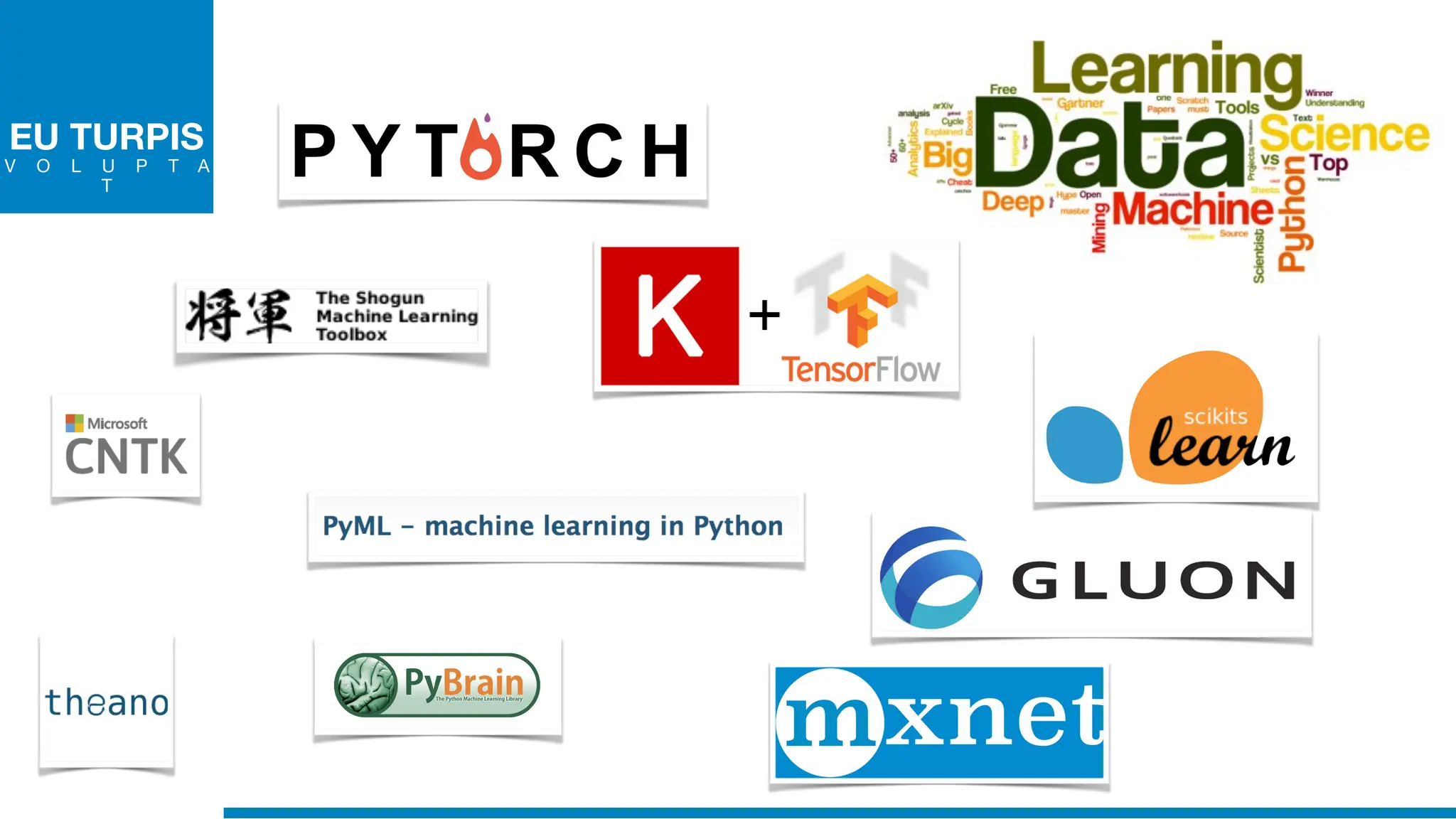 EU TURPIS
V O L U P T A
T
 