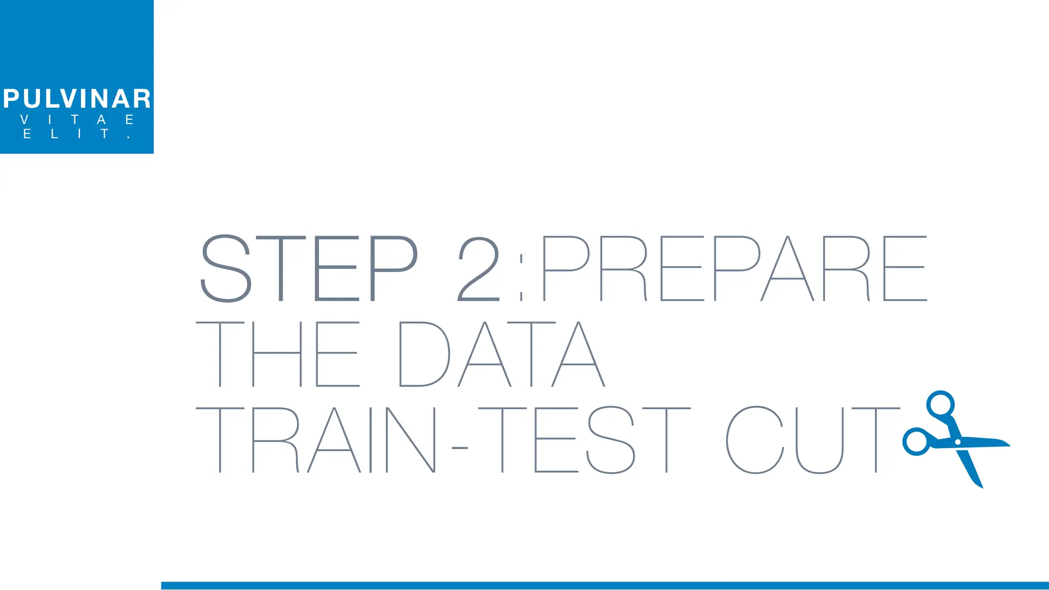 PULVINAR
V I T A E
E L I T .
STEP 2:PREPARE
THE DATA
TRAIN-TEST CUT
 