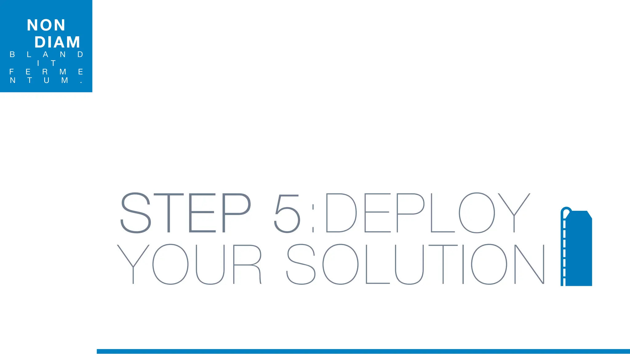 NON
DIAM
B L A N D
I T
F E R M E
N T U M .
STEP 5:DEPLOY
YOUR SOLUTION
 