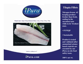 Tilapia Fillets
Nitrogen frozen -42
keeping product
fresher than fresh,
sealing in the
succulent taste
while in its’ freshest
state.

• IVP/IQF

• Sustainable

Product is tested
and validated after
unmatched science
based controls are
executed by our
iPura on-site food
safety team.

100% net wt.
 