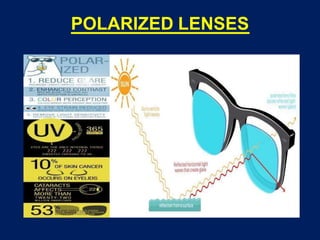 POLARIZED LENSES
 