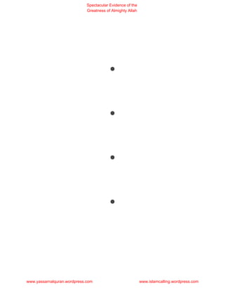 Spectacular Evidence of the
                             Greatness of Almighty Allah




                                        .
                                        .
                                        .
                                        .

www.yassarnalquran.wordpress.com                           www.islamcalling.wordpress.com
 