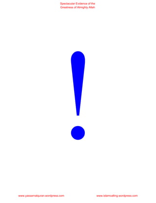 Spectacular Evidence of the
                             Greatness of Almighty Allah




www.yassarnalquran.wordpress.com                           www.islamcalling.wordpress.com
 