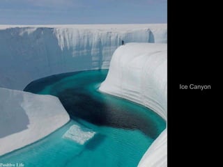 Ice Canyon

 