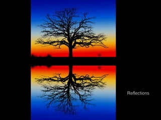 Reflections

 