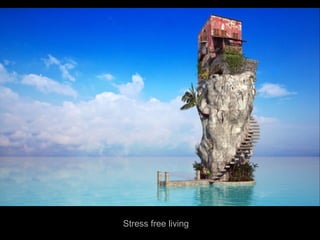 Stress free living
 
