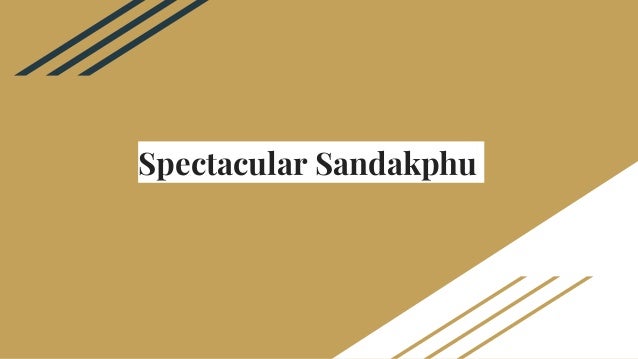 Spectacular Sandakphu
 