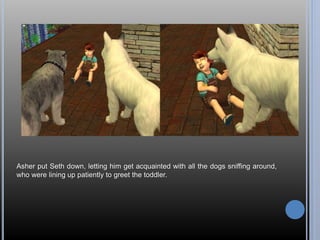 Asher put Seth down, letting him get acquainted with all the dogs sniffing around, 
who were lining up patiently to greet the toddler. 
 