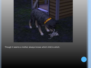 Though it seems a mother always knows which child is which.
 