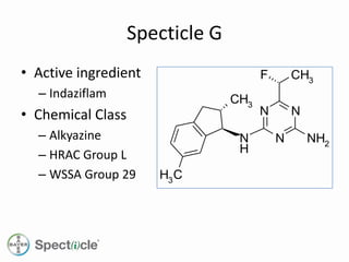 Specticle g label