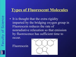 Types of Fluorescent Molecules It is thought that the extra rigidity imparted by the bridging oxygen group in Fluorescein reduces the rate of nonradiative relaxation so that emission by fluorescence has sufficient time to occur. Fluorescein 