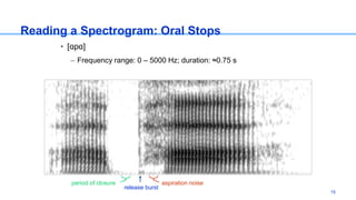 Reading a Spectrogram: Oral Stops
• [ɑpɑ]
– Frequency range: 0 – 5000 Hz; duration: ≈0.75 s
period of closure aspiration noise
release burst
15
 