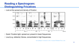 Reading a Spectrogram:
Distinguishing Fricatives
• Look at the spread and density of frication
• Quiet: Frication light, spread out, present in lower frequencies
• Loud (e.g. sibilants): Dense, concentrated in high frequencies.
26
from Ladefoged, P. & Johnson, K. (2011). A Course in Phonetics (6th ed.), p. 202.
 