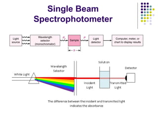 Single Beam
Spectrophotometer

 
