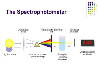 The Spectrophotometer

 