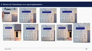 4. Mesure de l’absorbance avec spectrophotomètre
Master SEIB 21
 