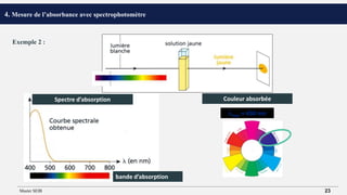 max  430 nm
bande d’absorption
Spectre d’absorption Couleur absorbée
4. Mesure de l’absorbance avec spectrophotomètre
Exemple 2 :
Master SEIB 23
 