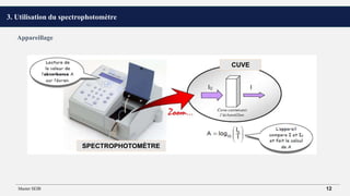 3. Utilisation du spectrophotomètre
Appareillage
CUVE
SPECTROPHOTOMÈTRE
Master SEIB 12
 