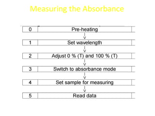 Measuring the Absorbance
 