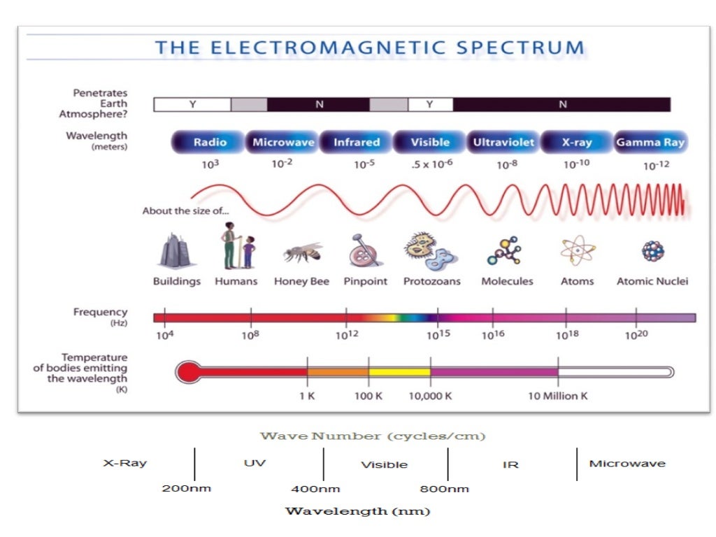 Spectrophotometry