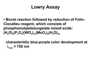 Lowry Assay 
• Biuret reaction followed by reduction of Folin- 
Ciocalteu reagent, which consists of 
phosphomolybdotungstate mixed acids: 
(H2O)3(P2O5)(WO3)13(MoO3)5(H2O)10 
characteristic blue-purple color development at 
lmax ≈ 750 nm 
 